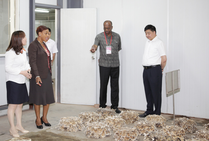 專(zhuān)題報(bào)道