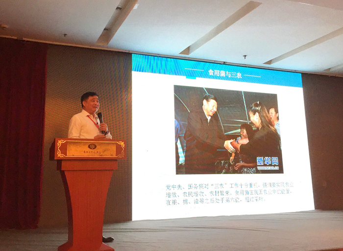 專(zhuān)題報(bào)道