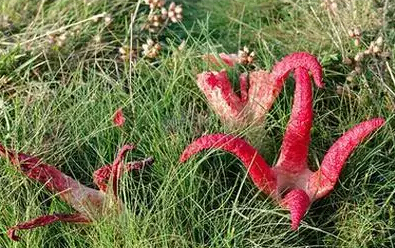 圖片關(guān)鍵詞 圖片關(guān)鍵詞