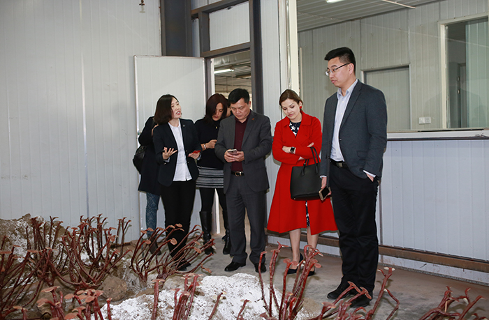 圖片關(guān)鍵詞 圖片關(guān)鍵詞