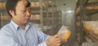 圖片關(guān)鍵詞 圖片關(guān)鍵詞