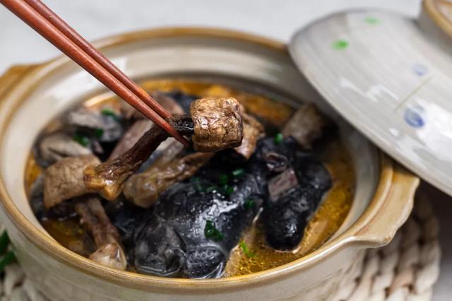 國家蘑菇地理：中國哪里的蘑菇最好吃？