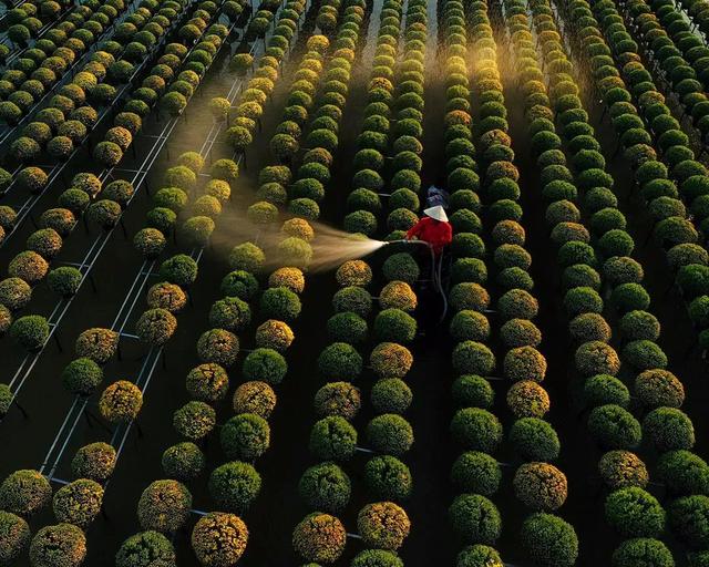 國家蘑菇地理：中國哪里的蘑菇最好吃？