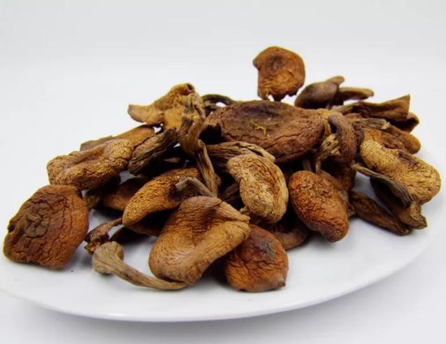 國家蘑菇地理：中國哪里的蘑菇最好吃？