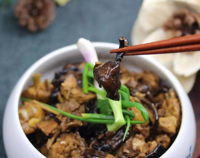 國家蘑菇地理：中國哪里的蘑菇最好吃？