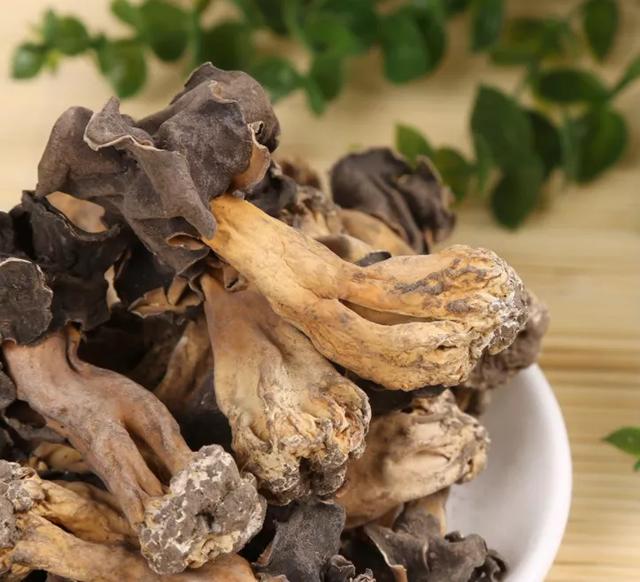 國家蘑菇地理：中國哪里的蘑菇最好吃？