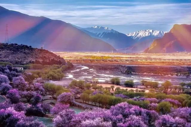 國家蘑菇地理：中國哪里的蘑菇最好吃？