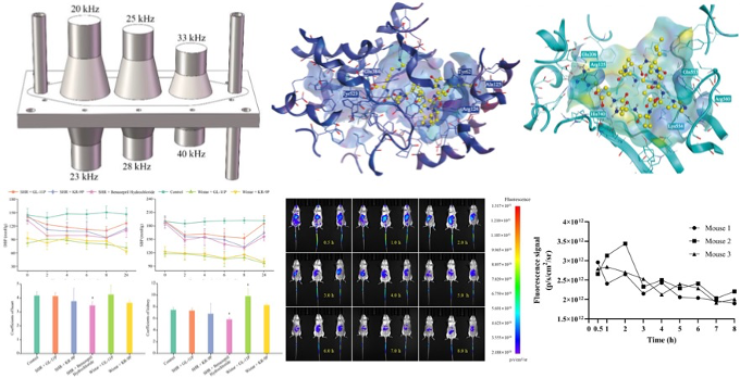 圖片關(guān)鍵詞