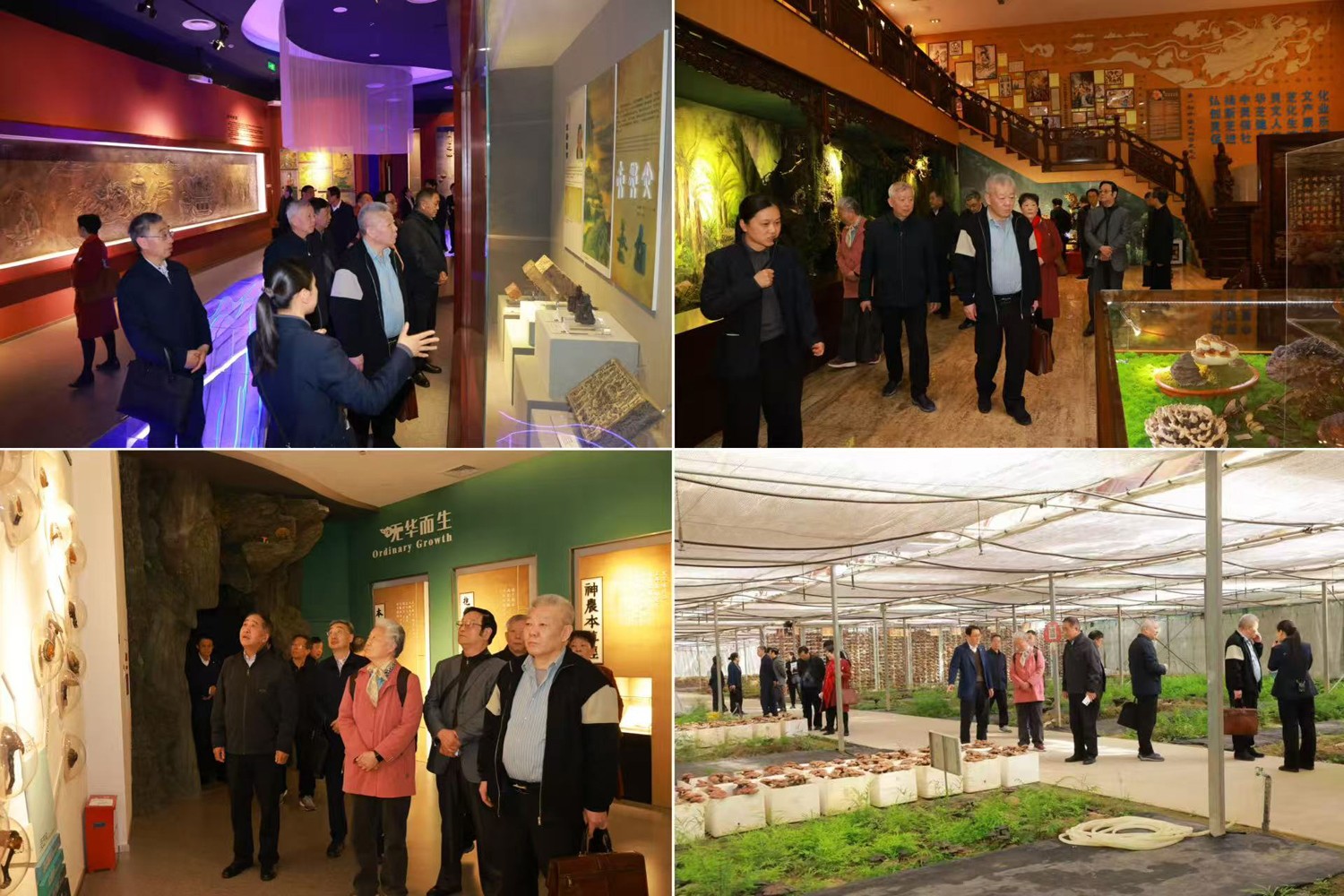 圖片關(guān)鍵詞