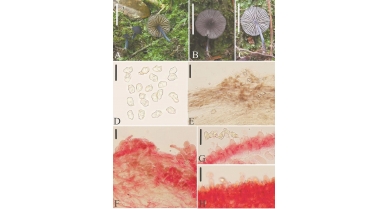 行業(yè)動(dòng)態(tài)