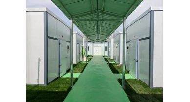 行業(yè)動態(tài)