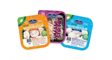 行業(yè)動態(tài)