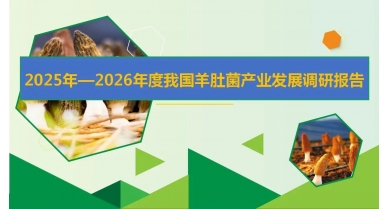 行業(yè)動態(tài)