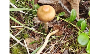 行業(yè)動(dòng)態(tài)