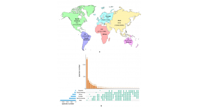 行業(yè)動(dòng)態(tài)