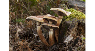 行業(yè)動態(tài)