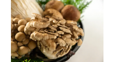 行業(yè)動(dòng)態(tài)