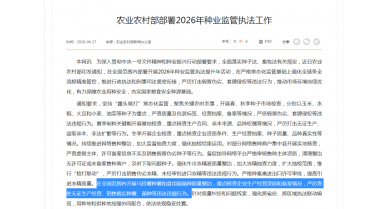 行業(yè)動(dòng)態(tài)